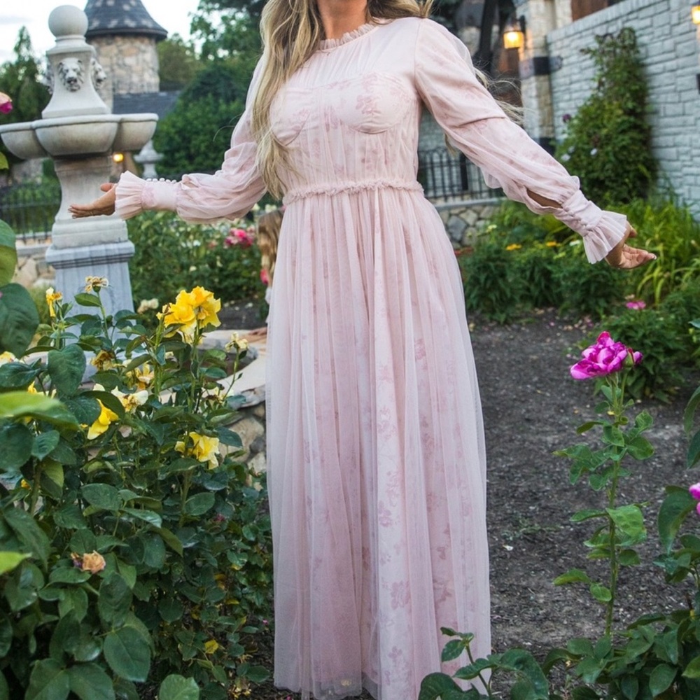 Ivy City Co Last Songbird Pale Pink Long Sleeve Dress Size Medium NWT